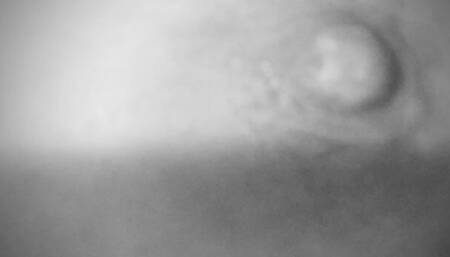 Lubricating my nipples with my own pussy juices! Black and white for you!