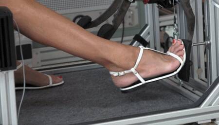 Willow Takes Her First Drive in the Simulator (MP4 - 1080p)