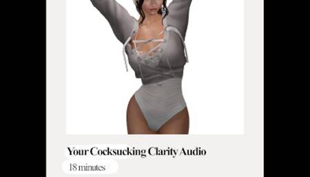 Your Cocksucking Clarity: Bisexual Encouragement  Audio