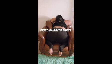 FRIED BURRITO FARTS