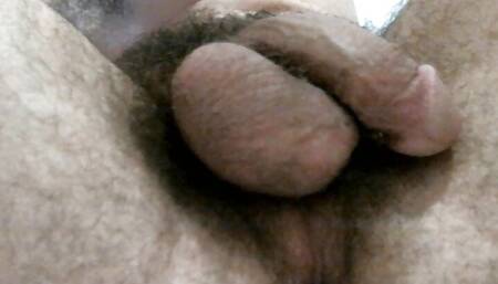my soft hairy dick close up do you like it
