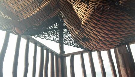 chill and pee in a hammock