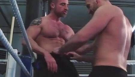 Alphamales.com - Building Boxers