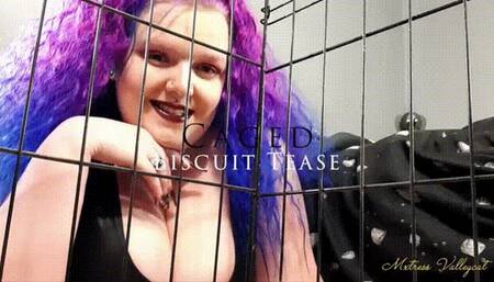 Caged Biscuit Tease