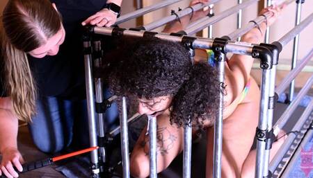 386 Princess Sophia caged 4k Ultra HD