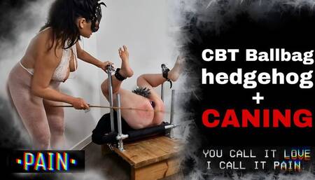 Femdom CBT Punishment Spanking Caning Spray Pegs Buttplugs Anal Male Slave Chastity Mistress