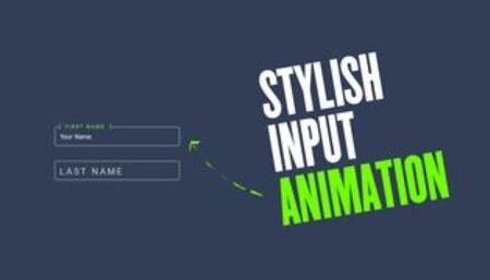 Stylish Input Animation Using CSS