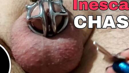 Permanent Chastity Steel Cage Device Explained PA Prince Albert Piercing Femdom Training Zero Mistress Male Slave BDSM