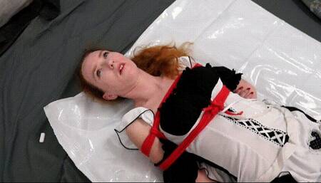 Maid in a vacuum bag