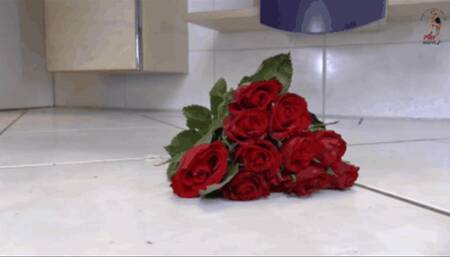 Filas close up in action 11