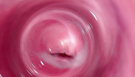 Camera deep inside Mia's  creamy pussy