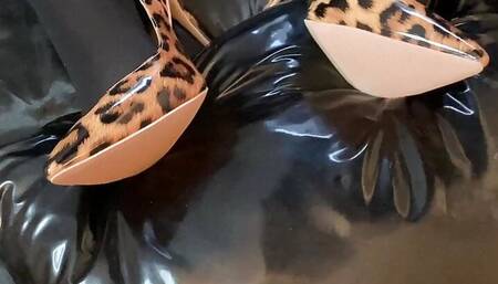 Patterned Leggings, Animal Print Heels Masturbation