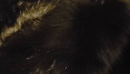 Black fur collar masterbation cum squirt shot fetish furry