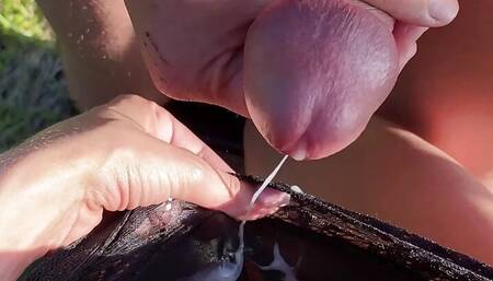 The traveling companion pays for the trip with a blowjob and sex. And for change, she gets a cumshot in her panties