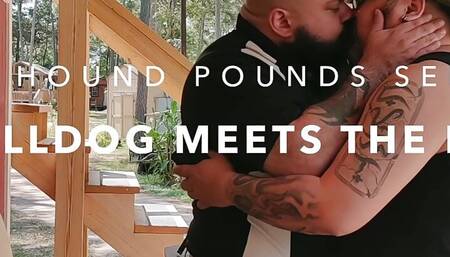 The Bulldog Meets The Hound