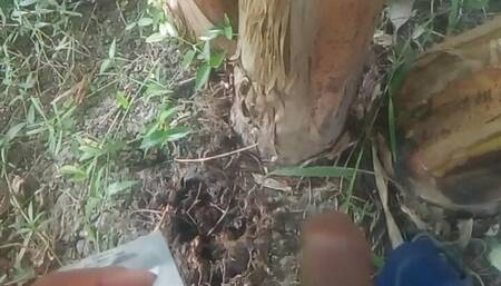 Nature Sex .. Sex with Banana tree .. PART 1