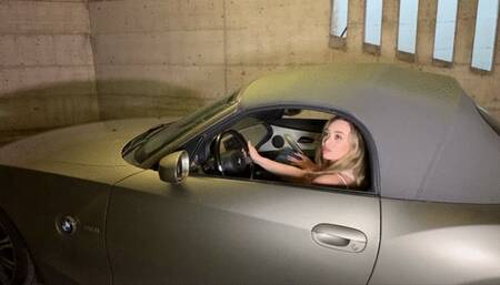 Flavia and Chiara felony traffic stop actions