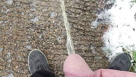 Piss in front of highway trafic