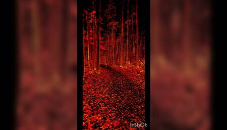 Spooky stripping threw the woods