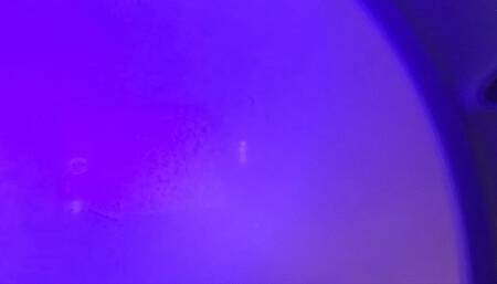 Tinies trapped in toilet