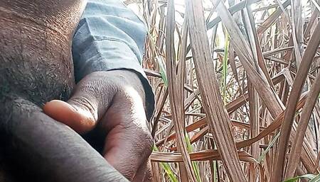 Ppsingh hand job keya