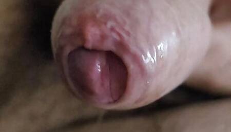 Uncut dripping precum