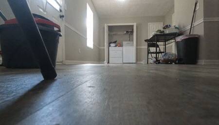 I Smell Can you Tiny Human