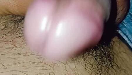 Morning errection hard penis