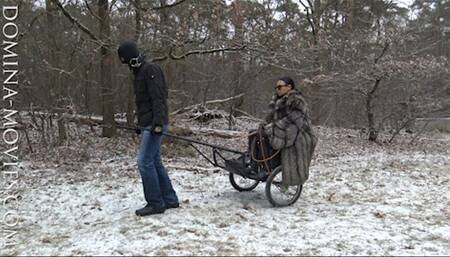 Snow Queen and the Boot Licking Pony