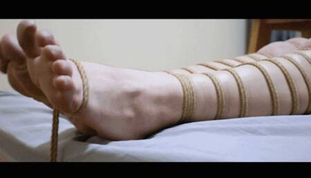 YT1808 Do Not Take Away The Bench