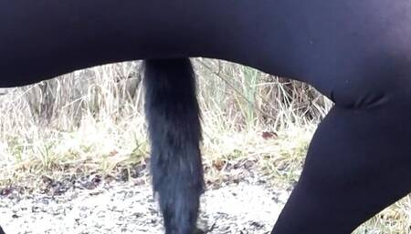 Naughty Cat