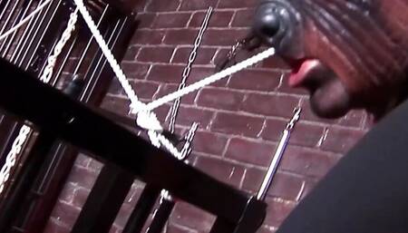 Blonde babe and her friend got destroyed with two hard dicks