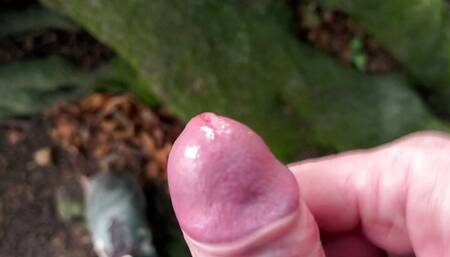 A wank in the woods