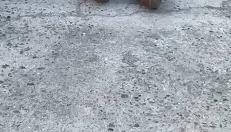 Car Crush boots
