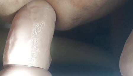 Starfish