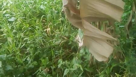 Nature Sex.. Sex With Banana Tree .. PART 2