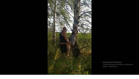 Public sex after a picnic for a perfect hot blonde