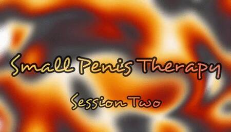 Small Penis Therapy Session 2