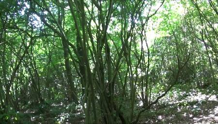 Nature Pee Shooting Star Desperate to go In The Woods