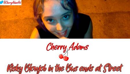 Risky Blojob in The Bus Ends at Street