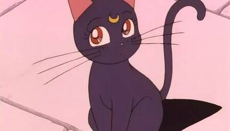 Backshots from Daddy while cumming on his dick <3