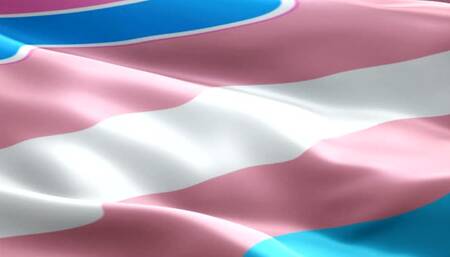 Balls Sucking & Cum In The Mouth