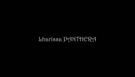 lharissapanthera