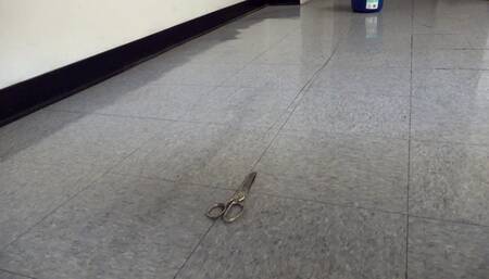 The Great Anal Escape