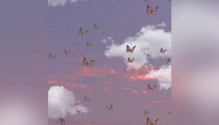 POV: reverse cowgirl