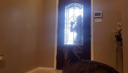 Naughty Officer Hope Wants Ur Cock