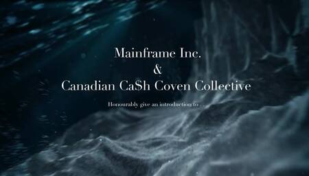 2019 Bikini Compilation Financial Frenzy