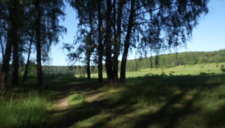 Doggy-style In the forest