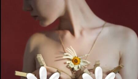 Flower and clothespins