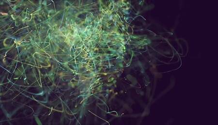 st Patrick's day in the kitchen